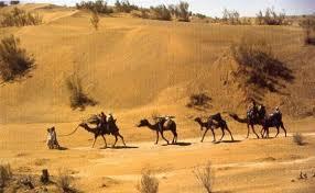 البادية في الكويت Kuwait Desert