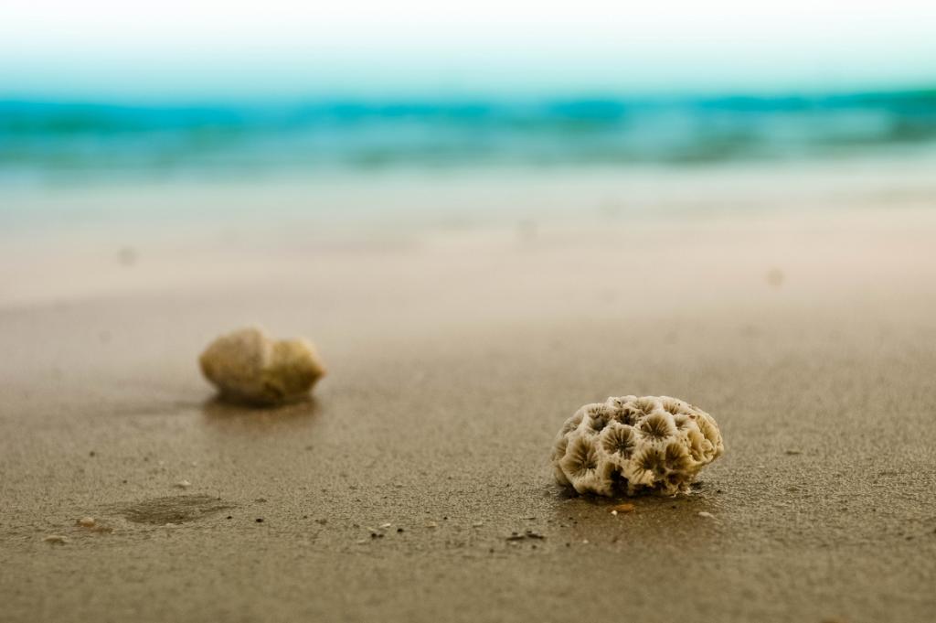 شواطئ الكويت Kuwait - Beach By: Alexy Louis 