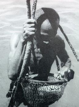 Pearl Diver