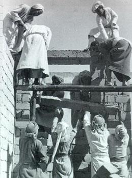 Kuwaiti construction workers