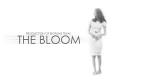 فلم كويتي قصير The Bloom (2011) Kuwaiti Short Movie