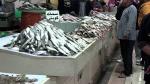 Fish Market Kuwait City 2011
